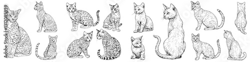 Illustrations of various cat breeds displaying unique postures and features in an artistic style at a vintage aesthetic