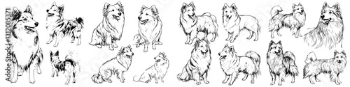 Shetland Sheepdog sketches showcasing diverse poses and expressions in a playful manner at a dog art exhibition