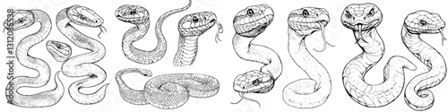 Detailed illustrations of various snake species showcasing their distinct features and postures