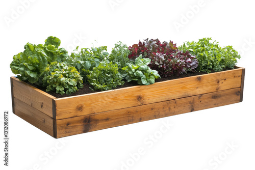 Fresh garden bed filled with a variety of leafy greens in a wooden planter at a vegetable garden during daytime in spring