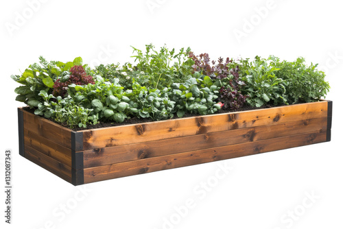 Elegant wooden planter box brimming with vibrant herbs and leafy greens in a sunny garden setting