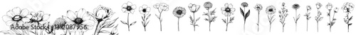 The PNG element set features hand drawn flowers on a completely transparent background