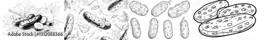 A modern, hand-drawn set featuring cucumbers, including whole, sliced, and planted variations, all illustrated in an engraved vegetable style