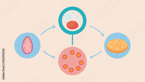 Skin Repair Process A diagram showing the stages of skin repair with exosomes at the center facilitating cellular regeneration and healing.