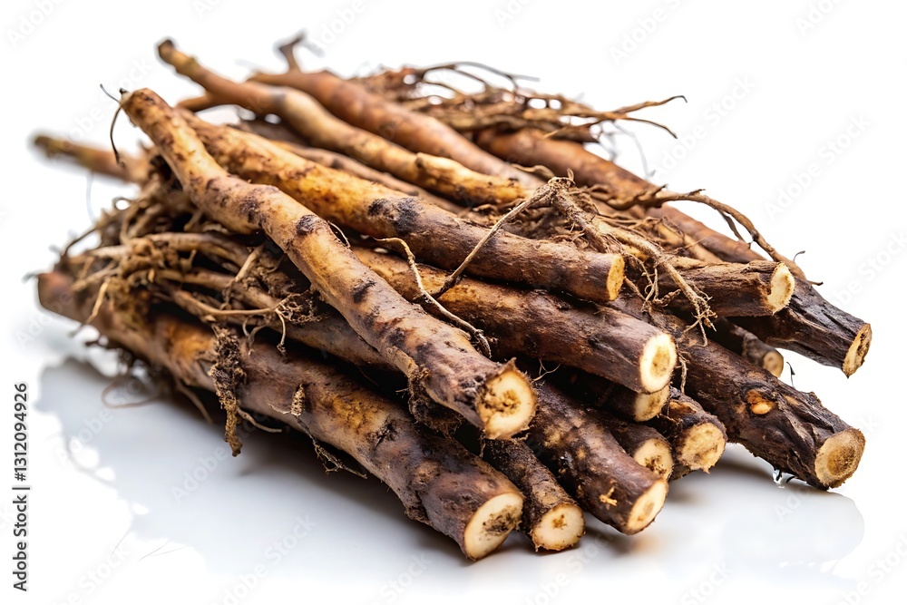 Fototapeta premium Detailed Image of Fresh Osha Root with Dark Brown Texture