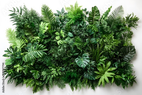 Lush greenery adorns a modern wall, bringing nature indoors with vibrant plant life and diverse foliage textures photo