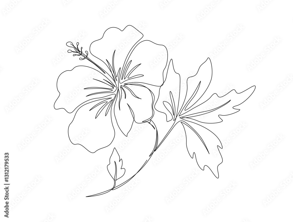 Continuous one line drawing of a piece hibiscus flower. Rose mallow in single line draw illustration. Editable stroke. Continuous one line drawing of a piece hibiscus flower. Rose mallow in single line draw illustration. Editable stroke.