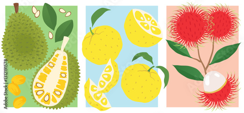 Exotic Fruit Collection - Jackfruit, Yuzu, Rambutan