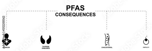 PFAS Consequences Infographic: Health Risks and Impacts. major health consequences of PFAS exposure, including cancer, thyroid diseases, cholesterol problems, and fertility issues with simple icons