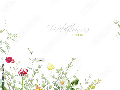 Wildflowers and plants vector design frame. Hand painted meadow branches, flowers, leaves on white background. Greenery wedding invitation. Watercolor style card. Elements are isolated and editable