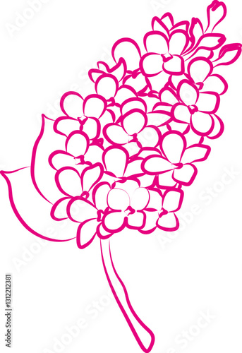 A hand drawn illustration of a lilac flower