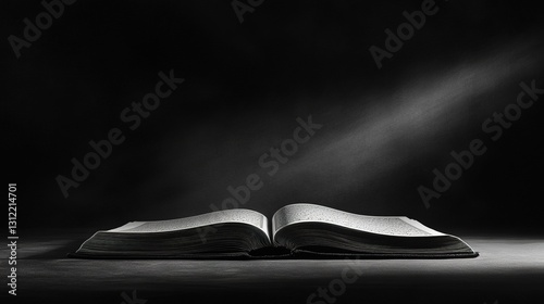 A minimal outline of an open Quran, with subtle rays of light emerging from the pages.