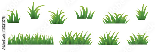 set of green grass