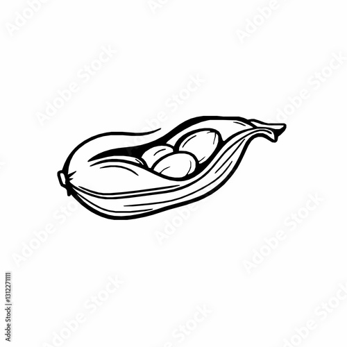 black outline vector illustration of peanut pod isolated, food vector design
