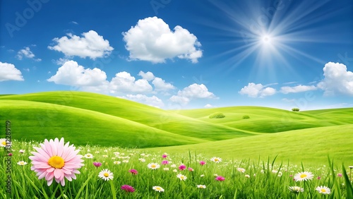 Sunny day in a green field with flowers