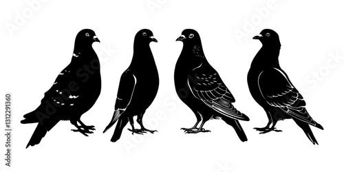 Four pigeons shown in black silhouette, side by side. Minimalistic design, white background. Concept of birds, simplicity, and elegance