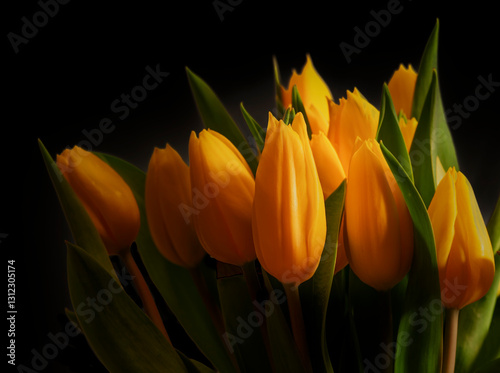 Warm Glow on a Bouquet of Yellow Tulip Flowers