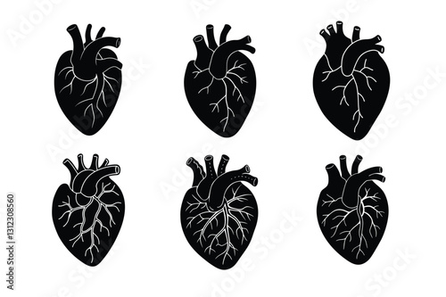 Set of Human Heart silhouette vector