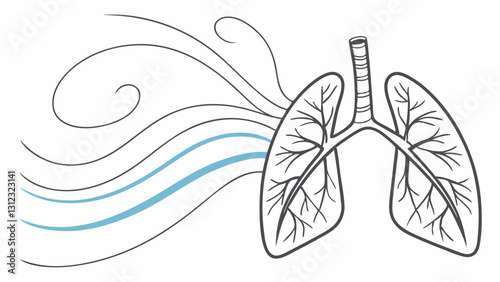 A minimalist, high-contrast medical illustration of human lungs with stylized air currents flowing through them. Designed with clean, thin lines and subtle transparency effects