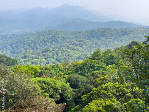 Scenic view of the landscape along the Talakaveri which is considered to be the source of the river Kaveri , Kodagu district, Karnataka