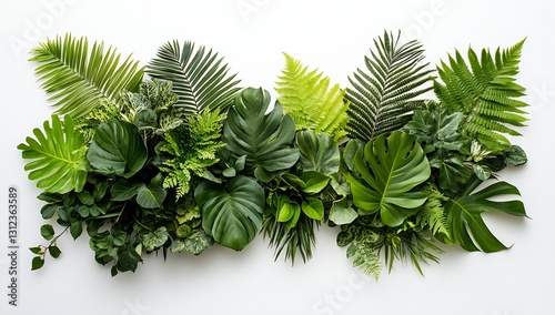 Lush Tropical Greenery Featuring Diverse Plants for a Natural Vibe and Aesthetic Decoration : Generative AI