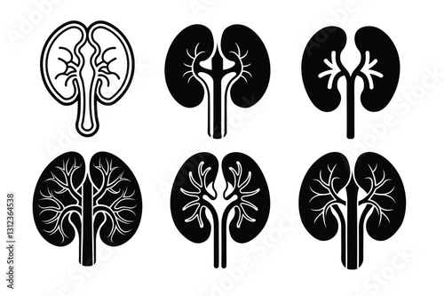 Set of Human Kidney silhouette vector