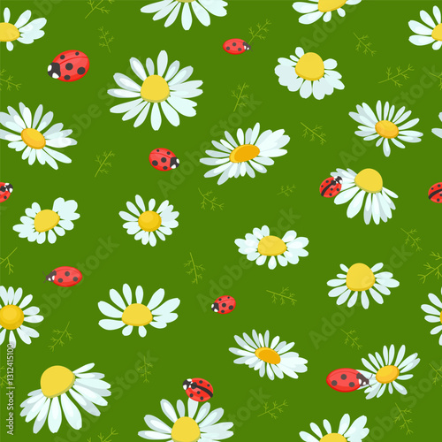 seamless texture with chamomile flowers and ladybugs. camomile wildflowers. daisy vector illustration