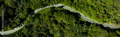 Car in rural road in deep rain forest with green tree forest view from above, Aerial view car in the forest on asphalt road background, Electric vehicle EV car drive asphalt road green tree forest.