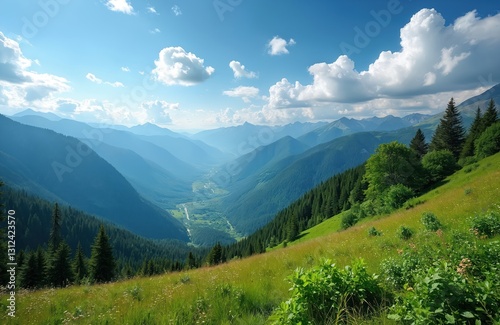 Wallpaper Mural Picturesque mountain landscape with blue sky and white clouds. Valley with river from high altitude. Green grass slope and forest of coniferous trees on mountainside. Summer nature scene in highland. Torontodigital.ca