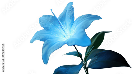 Glowing blue lily flower with transparent background: perfect for digital art
