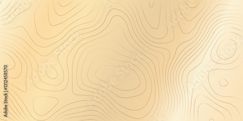 Abstract Topographic Pattern Banner Background, geographic line map with elevation assignments. Modern design background with wavy pattern. Paper texture Imitation of a geographical map shades.