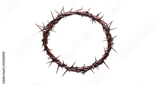 A crown of thorns in the shape of an O isolated on transparent background
