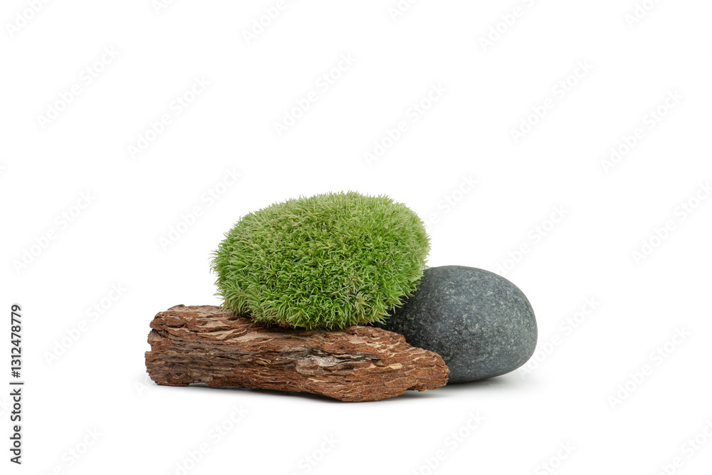 Fototapeta premium Natural moss, stone and tree bark on white isolated background