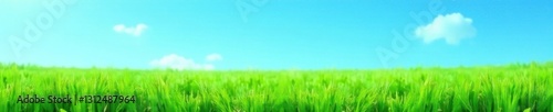 Vibrant green grass texture, clear blue sky backdrop , illustration, design