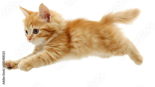 Energetic orange kitten jumping gracefully with tiny paws showcasing playful spirit and enthusiasm for life