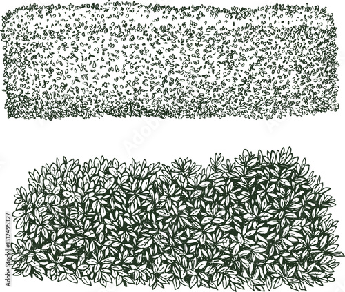 Green hedge in hand drawn engraving sketch style. Set of pen and ink leaf bushes. Vintage monochrome vector illustration.