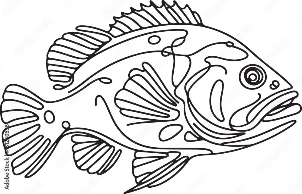 Fototapeta premium Simple Line Drawing of Grouper Fish Vector