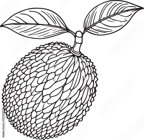 Jackfruit Line Drawing with Intricate Details - Vector Art