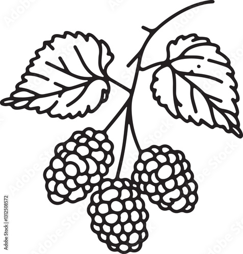 Minimalist Mulberry Line Art Vector Illustration