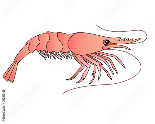 Shrimp - a small marine crustacean living underwater - a vector full-color picture in a cartoon style. An animal from the ocean is a shrimp. Seafood, marine life.	