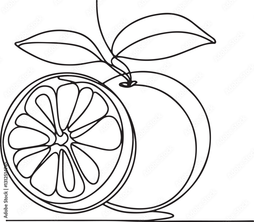 Tangerine Fruit Line Drawing - Simple and Clean Vector Artwork Tangerine Fruit Line Drawing - Simple and Clean Vector Artwork