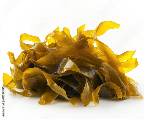 seaweed isolated