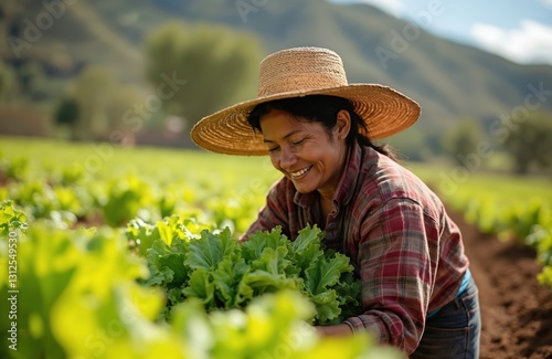 Smiling latin american farmer harvests lettuce on sunny day. Agriculture industry woman works in field. Organic farming, small business, sustainable agriculture, local food production, farm-to-table
