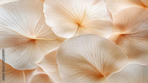 Delicate Peach Petals Close-up Macro Photography, Floral Texture, Soft Hues, Botanical Art, Nature's Elegance, Abstract, Petal Details. Peach Petal