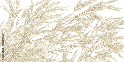 Beige pampas grass, delicate and airy, fills the frame with its feathery texture