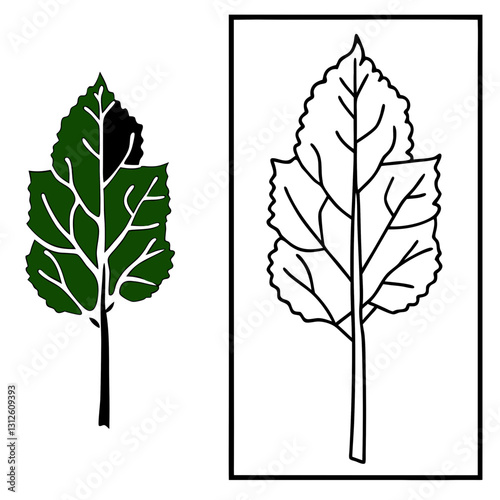 QUAKING ASPEN tree colorful image with a white background. two types of pictures in the same artboard (12).svg