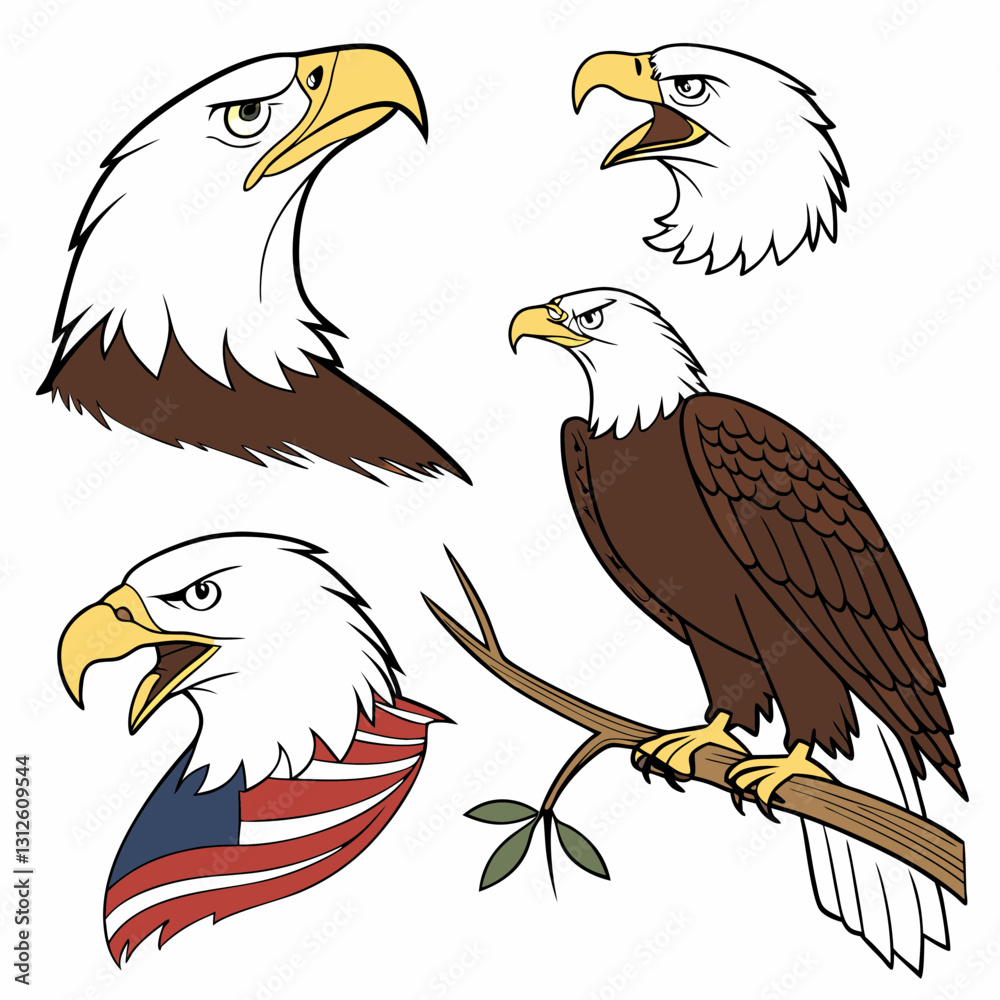Fototapeta premium American Bald Eagle Vector Illustration with a Strong Beak and Fierce Eye, Representing Freedom and Wildlife