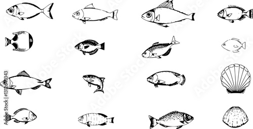 Engraved marine life icon set. Monochrome vintage vector illustrations of ocean animals and shells.