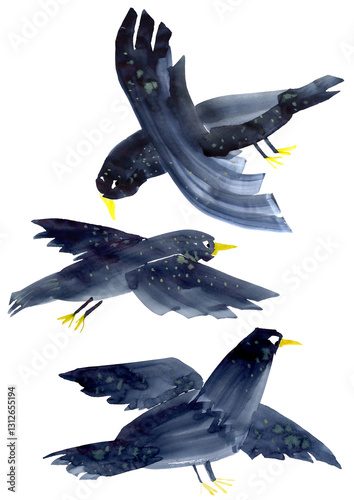 Three starlings, hand-drawn in watercolor. Artistic image.