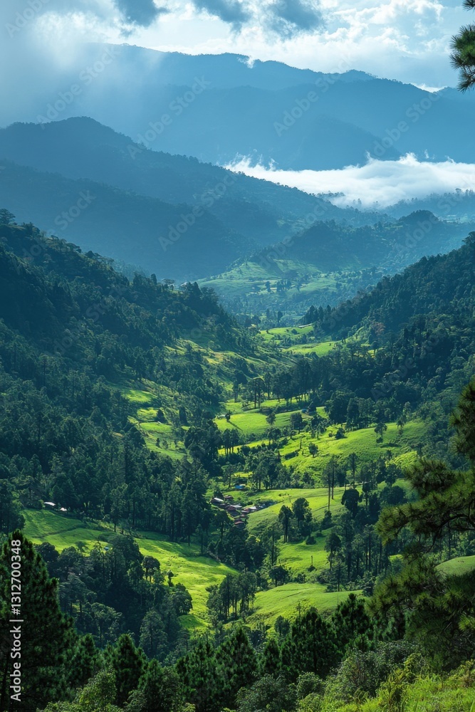 Fototapeta premium Green valley view. Rolling hills landscape. Lush trees scene. Mountains background. Overlook of forest and meadows. Scenic natural light.